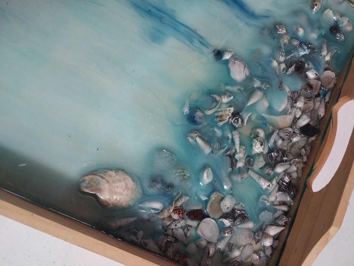 Sea shell Serving Tray